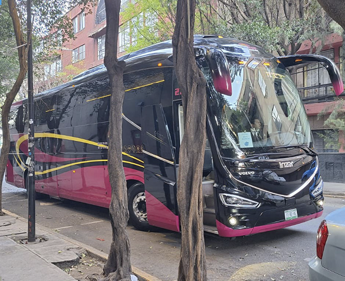 Coach Bus 47 Pax Luxury