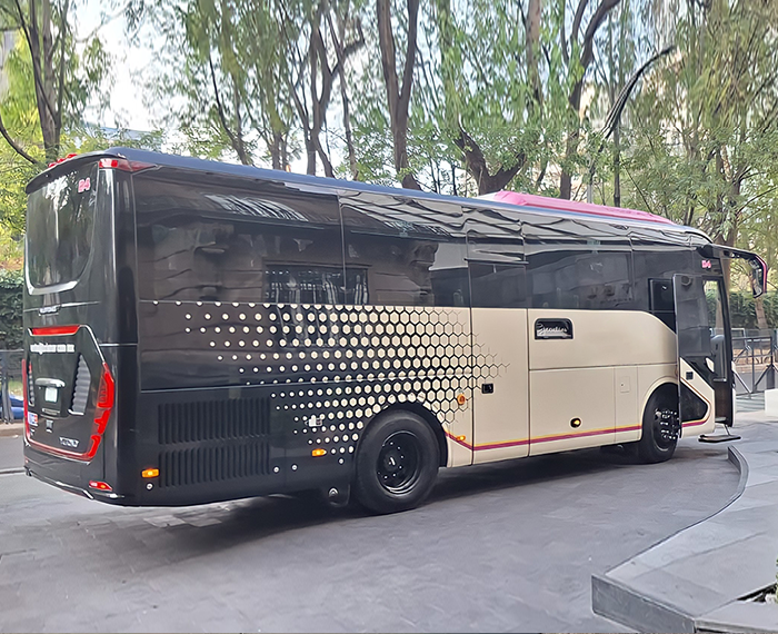 Coach Bus Polanco 31 Pax