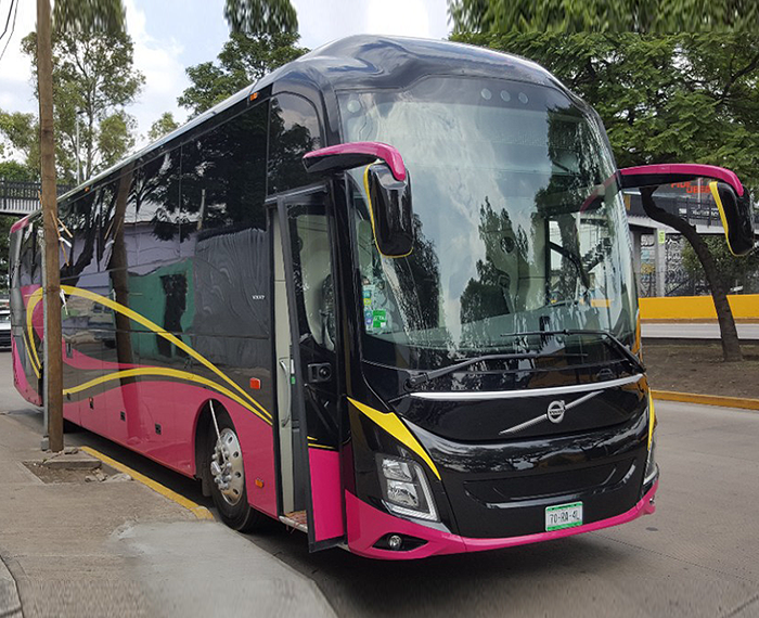 Coach Touring Bus 44 Pax